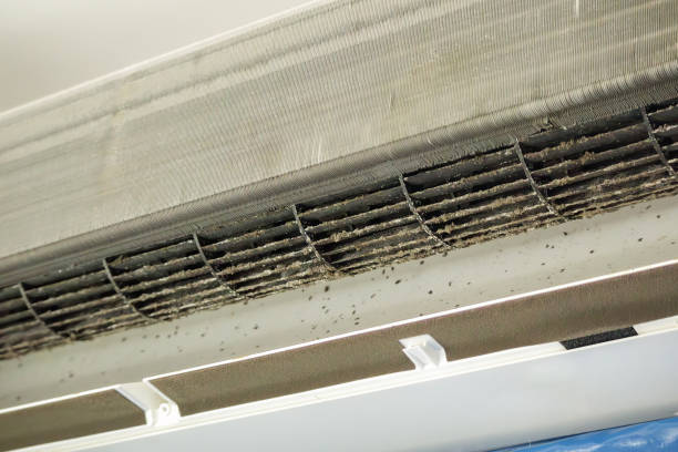 Best Affordable Air Duct Cleaning  in Terrell Hills, TX